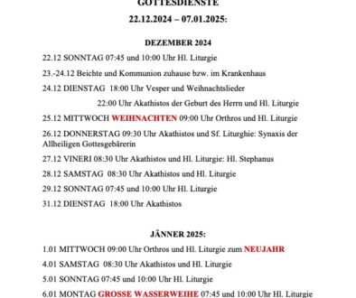 12.20 Program_de